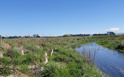 Burgess Stream restoration project kicks off